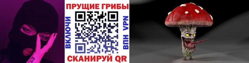 что такое наркотик  Скопин  Галлюциногенные грибы мицелий 