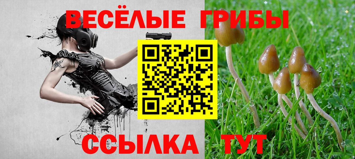 Галлюциногенные грибы Cubensis  Вход с VPN  Галлюциногенные грибы Magic Shrooms  Скопин 