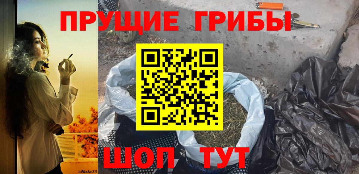 Псилоцибиновые грибы GOLDEN TEACHER  Галлюциногенные грибы Psilocybe  Скопин 