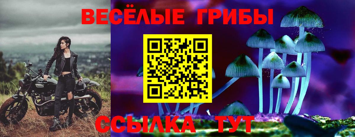 Псилоцибиновые грибы ЛСД Скопин