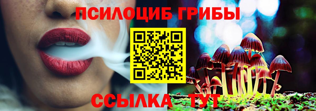 Галлюциногенные грибы мицелий  Вход с VPN  Скопин  Галлюциногенные грибы Magic Shrooms 